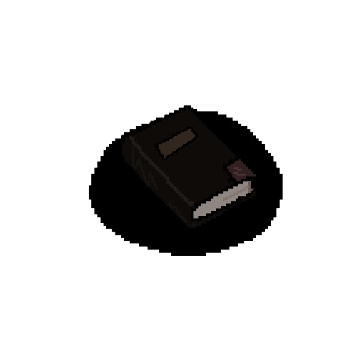 diary image